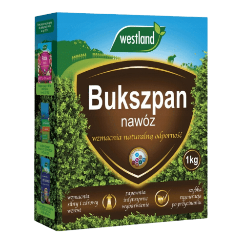 Westland Nawóz do Bukszpanu Karton 1kg