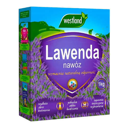 Westland Nawóz do Lawendy, Karton 1kg – Kompleksowa Pielęgnacja Twojej Lawendy