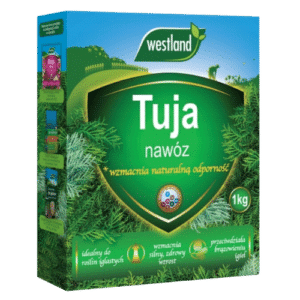 Westland Nawóz do Tui Karton 1 kg - obrazek 1