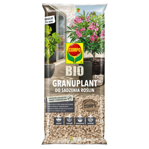 Projekt bez nazwy - 2025-07-01T143043.144