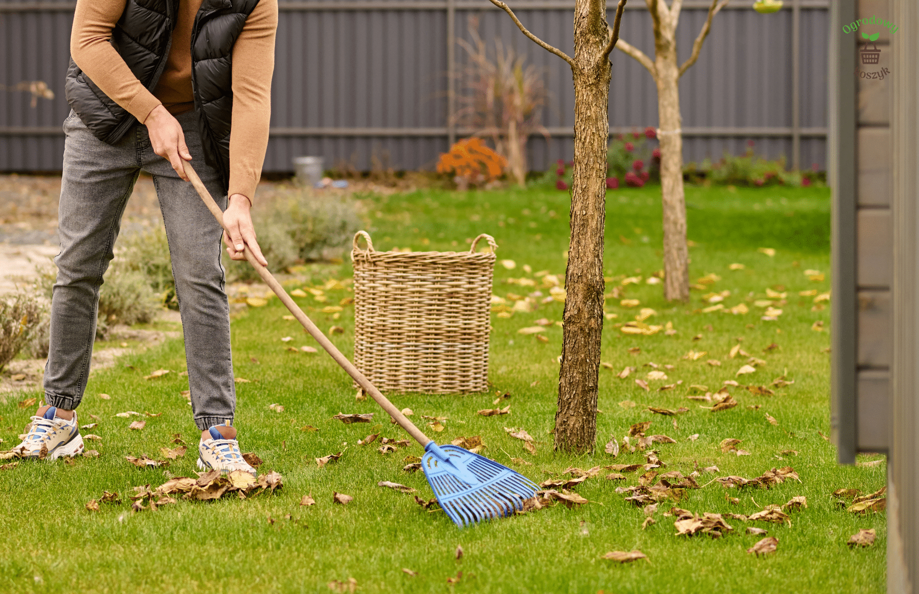 Jak zabezpieczyć rośliny i przygotować je na zimę? Ściółkowanie rabat korą lub kompostem