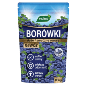 Westland Nawóz do Borówek Amerykańskich Zakwaszający Granulat 800g - obrazek 1