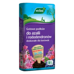 Westland Podłoże do Azalii Rododendronów Borówek z Formułą R+ Kwaśne pH 50L - obrazek 1