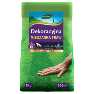 Westland DEKORACYJNA Mieszanka Nasion Traw 5kg Efekt Dywanu, Rzadsze Koszenie - obrazek 1