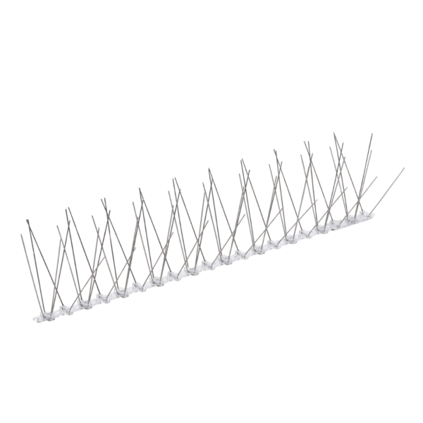 6808faf6ec4d5fcce01048d228e70a62.png